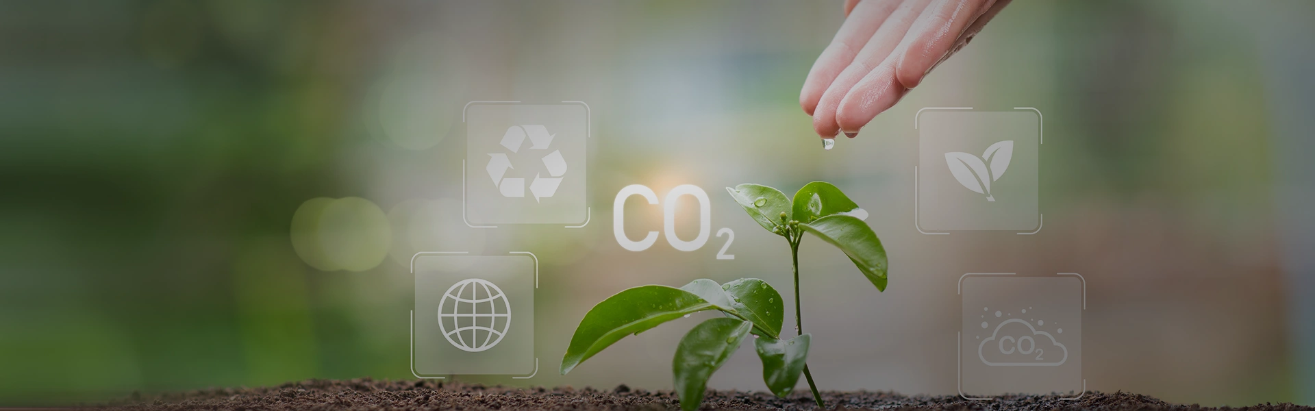 Bio-Carbon-Registry