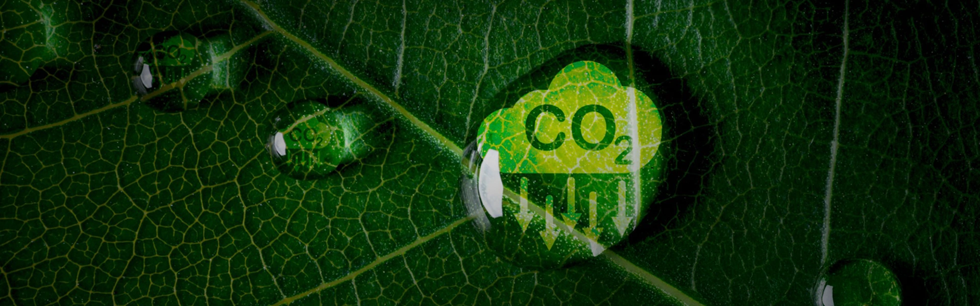 Carbon-Credit-Trading-Scheme-CCTS