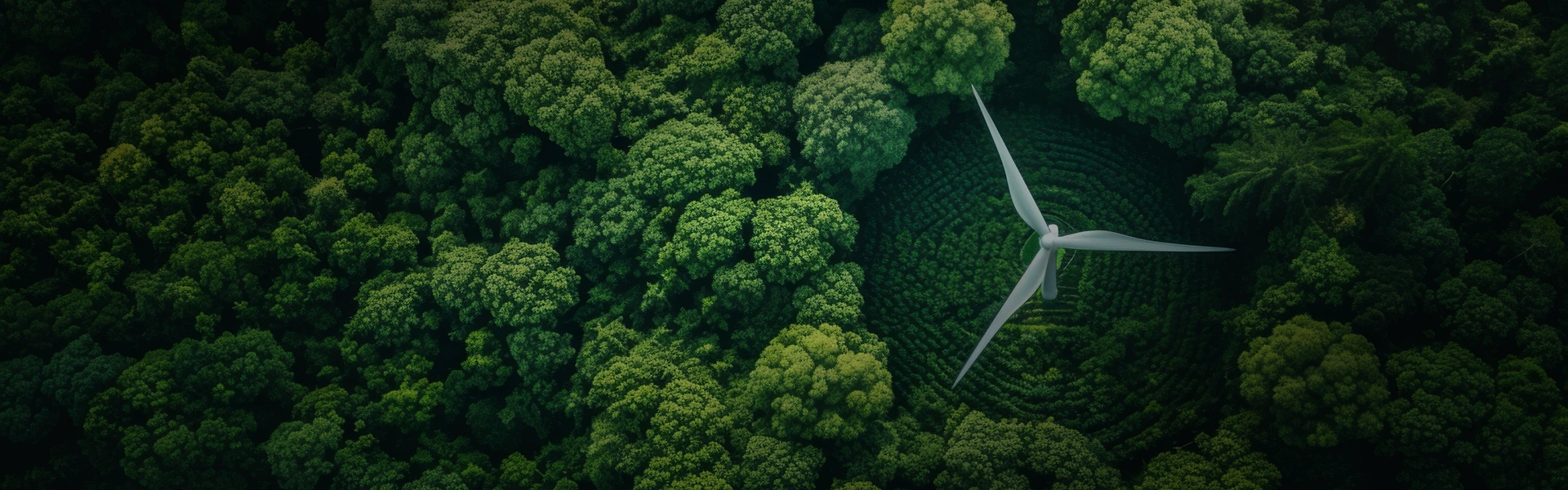 Decarbonization