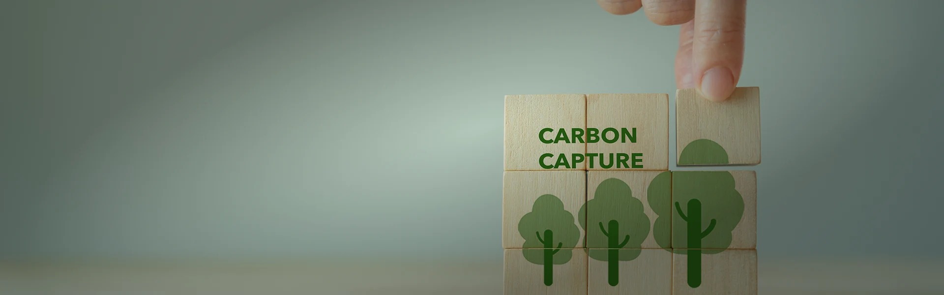 Social-Carbon-banner-1