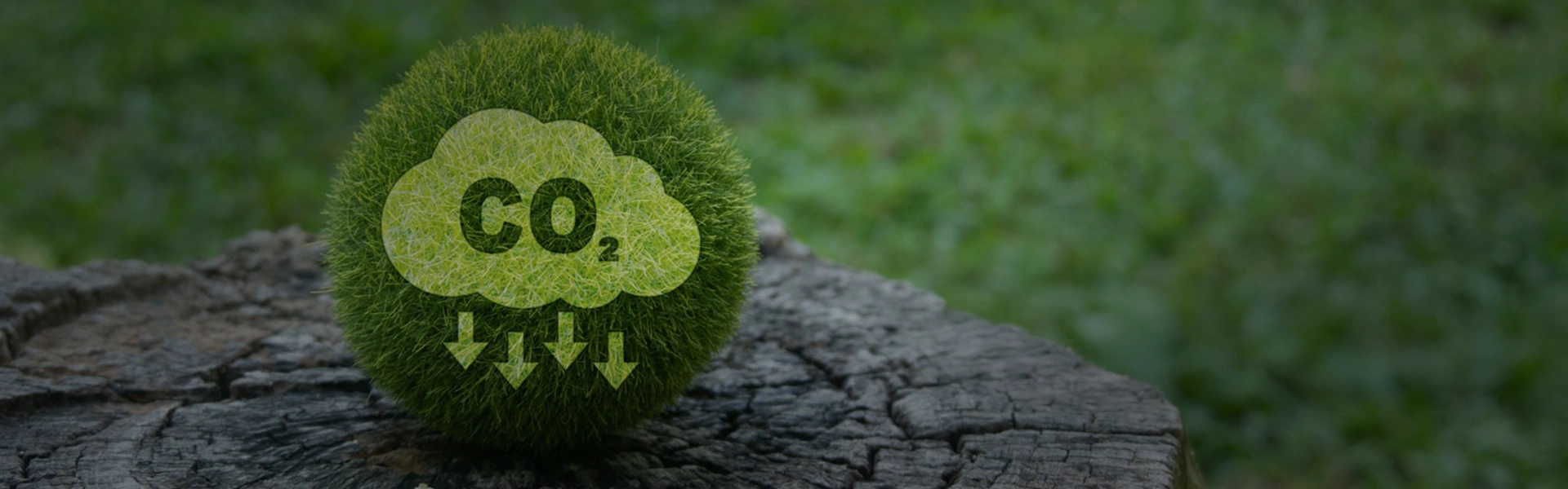 Universal-Carbon-Registry-UCR