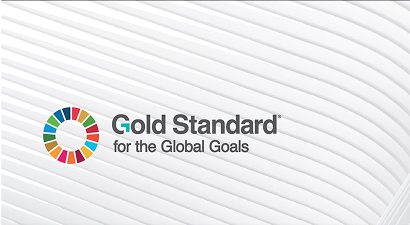 Gold Standard Recent Update- Quarterly Technical Update