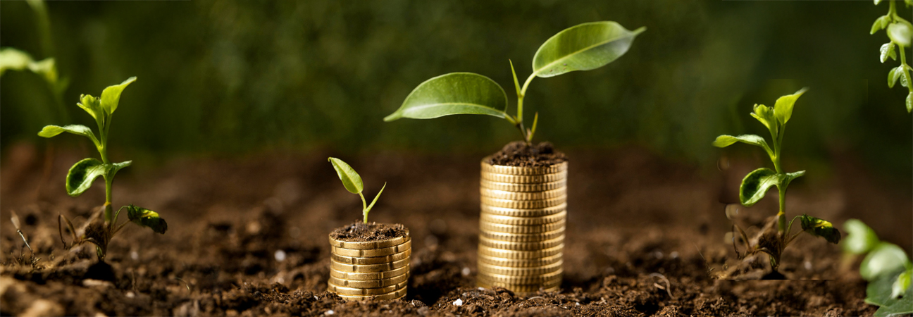 Sustainability Blog- KBS Certification